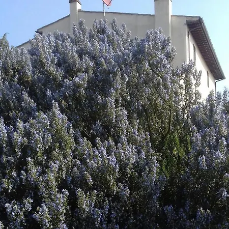 Podere Sanlorenzo Bed & Breakfast Carmignano